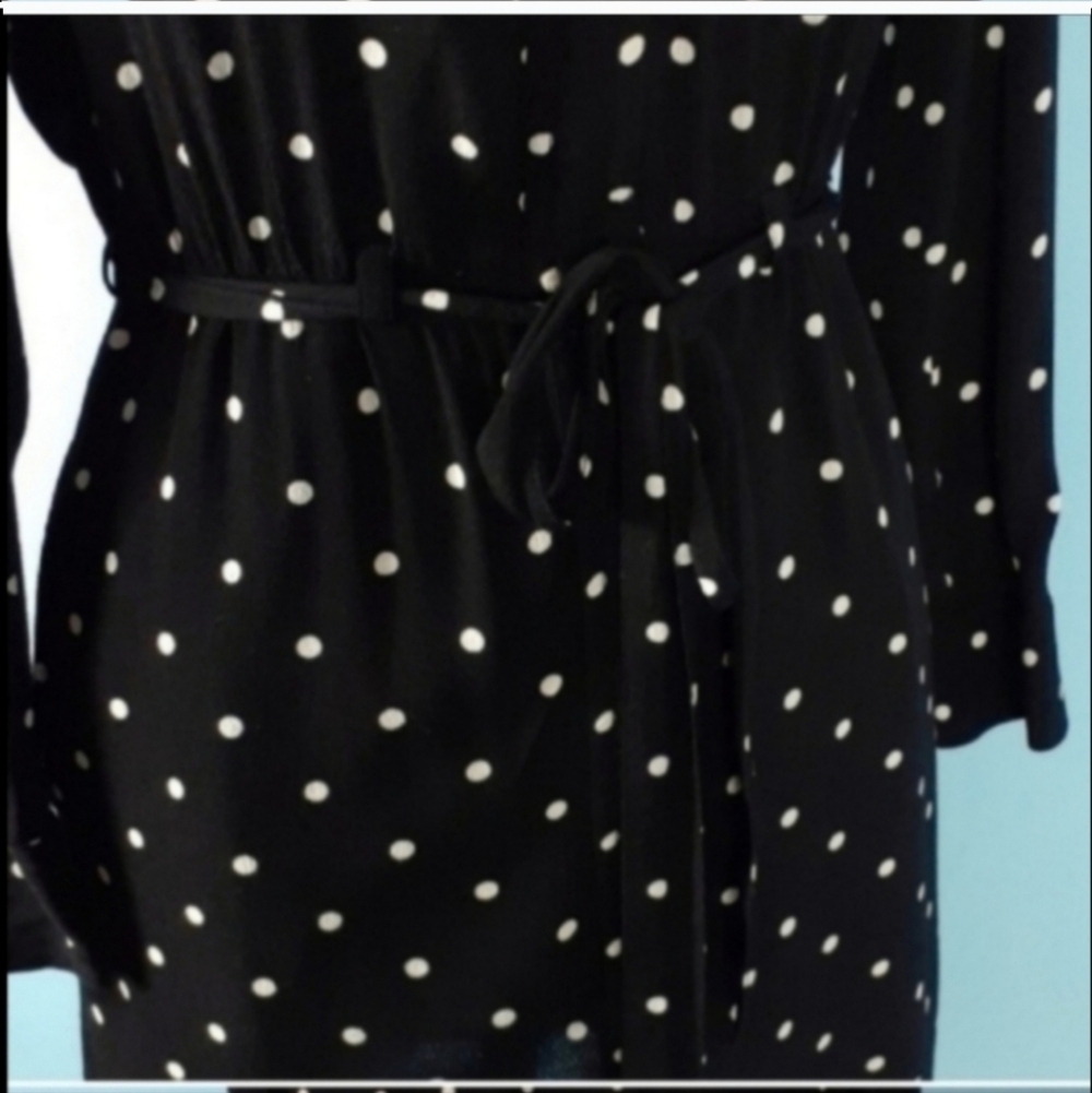 Madewell Broadway and Broome shirt dress pockets polkadots XS - Picture 3 of 6